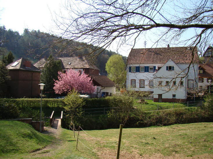 das alte Schulhaus in Waldleiningen