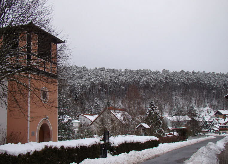 Eingeschneites Waldleiningen