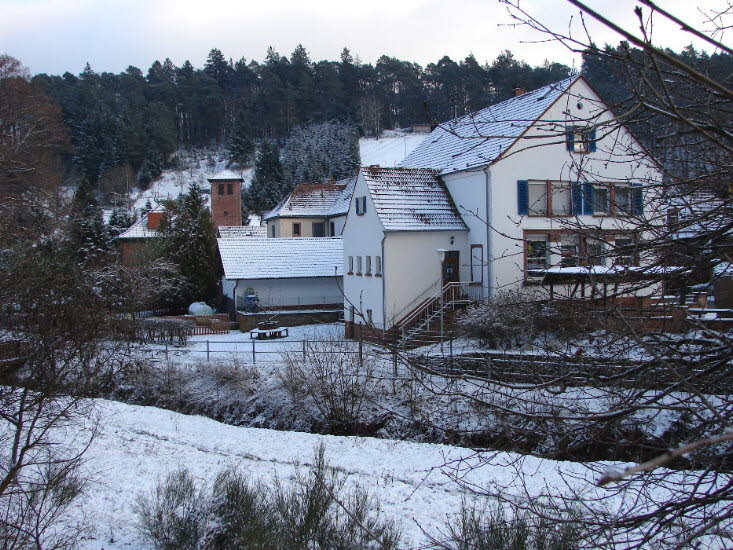 Waldleiningen im Winter